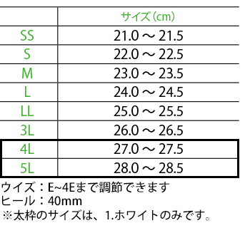 サイズ表